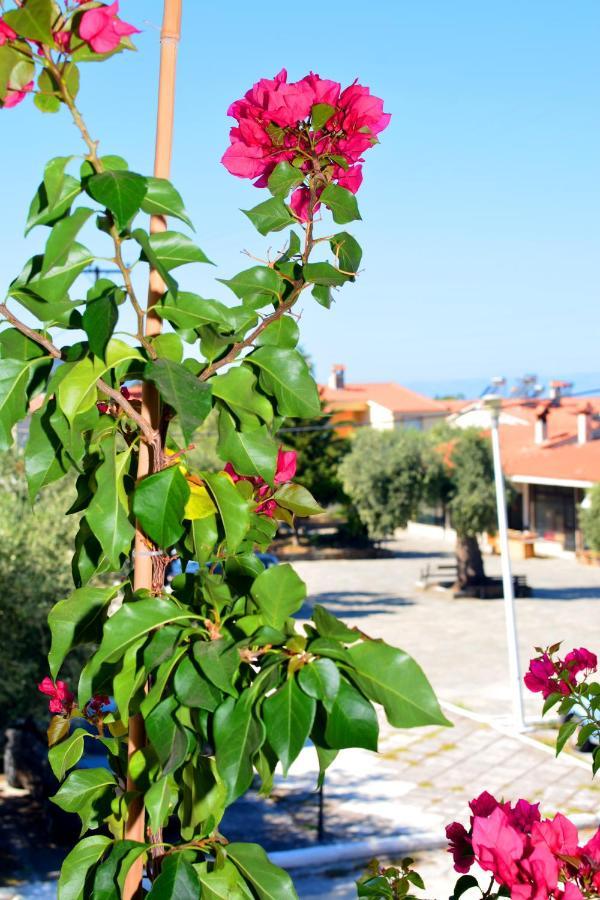 Blue North Luxury Apartment Thassos Exteriör bild